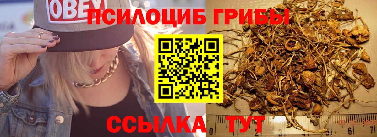 Псилоцибиновые грибы GOLDEN TEACHER  Псилоцибиновые грибы Psilocybe  Ижевск  где продают   Вход с VPN 